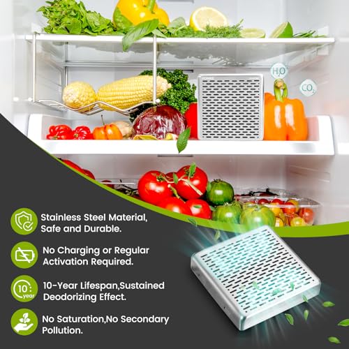 HOMIKE Stainless Steel Refrigerator Deodorizer - 10 Year Odor Eliminator