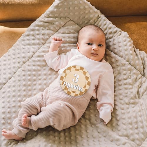 Wooden Baby Milestone Sign Set - Monthly Growth Tracker & Photo Prop