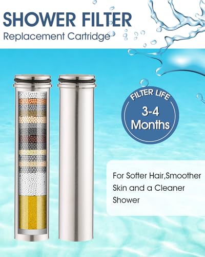 Replacement Shower Filter 2-Pack for Sprite Handheld Shower Head - Chlorine Removal