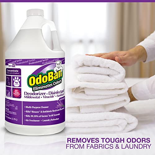 OdoBan Lavender Disinfectant Concentrate - 4 Gallons