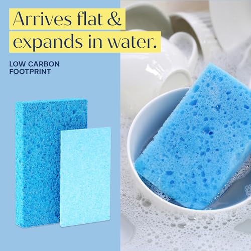Fab Tab Reusable Cellulose Sponges - Non-Scratch, 12 Pack