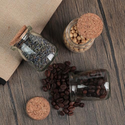 Small Decorative Glass Bottles with Cork Lids for Crafts