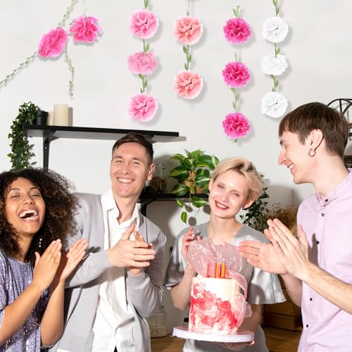 2PCS Pink Tissue Paper Pom Poms Garland for Parties & Events