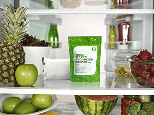 Ever Bamboo Fridge & Freezer Deodorizer - Natural Charcoal Odor Absorber (1 Pack)