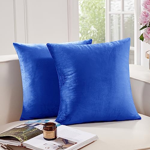 Deconovo Velvet Throw Pillow Covers | 24x24 Inch, 2 Pack, Soft Royal Blue