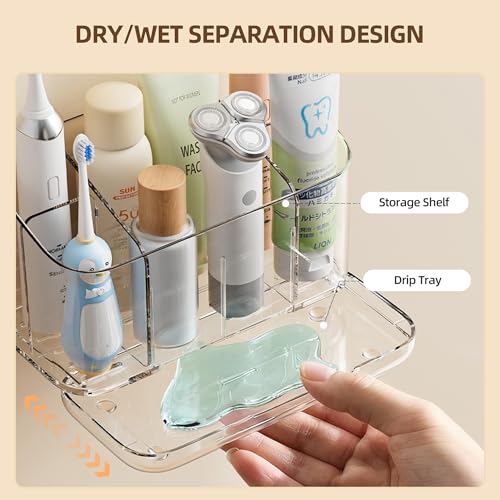 Zayin Wall Mounted Toothbrush Holder with Drainage & Adhesive Mount