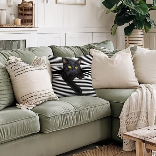 Funny Black Cat Pillow Cover 18x18 - Whimsical Home Decor