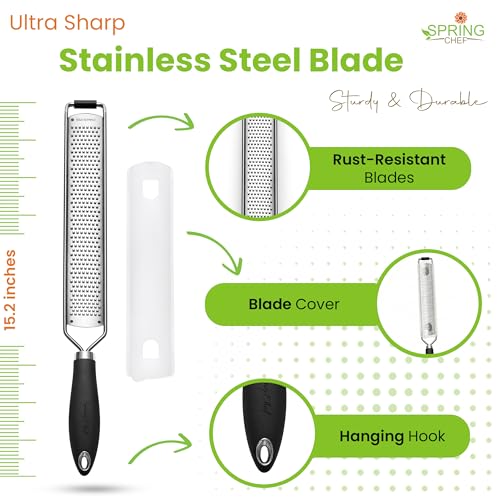 Spring Chef Black Stainless Steel Lemon Zester & Garlic Grater - Kitchen Tool