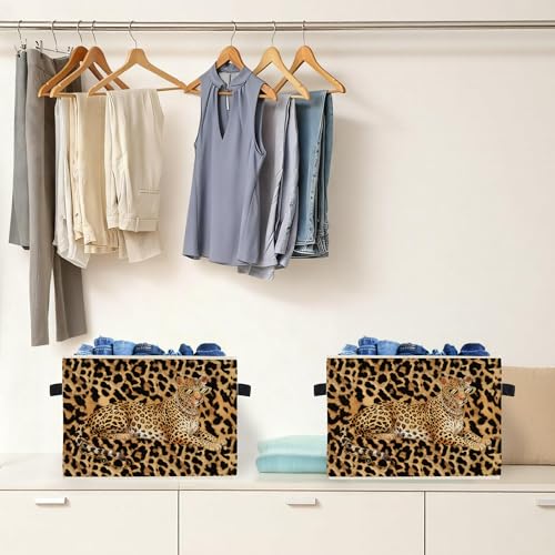Trendy Leopard Print Collapsible Storage Bin for Clothes & Books