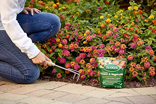 Scotts All Purpose Plant Food, Continuous Release Fertilizer, 3 lb (6-Pack)