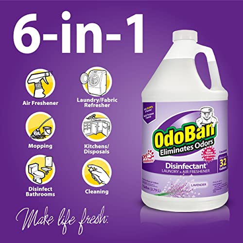 OdoBan Disinfectant Concentrate and Odor Eliminator, Lavender, 1 Gallon