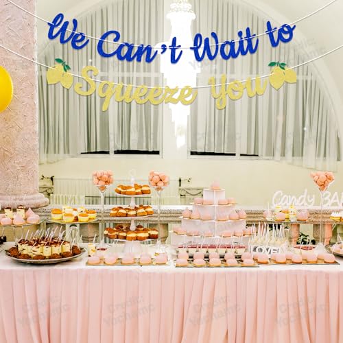We Can't Wait To Squeeze You Banner | Italian Lemon Baby Shower Decor