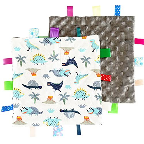 FOMAISELF Dinosaur Tag Blanket for Babies - Soft Security Lovey, 10x10"