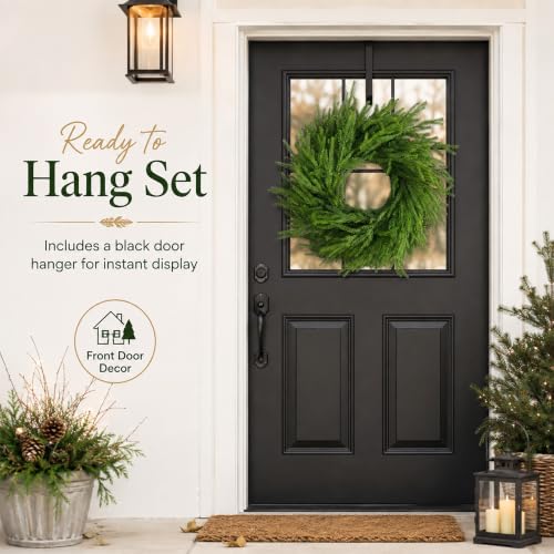 24 Inch Real Touch Norfolk Pine Wreath with Grape Vine Base and Hanger
