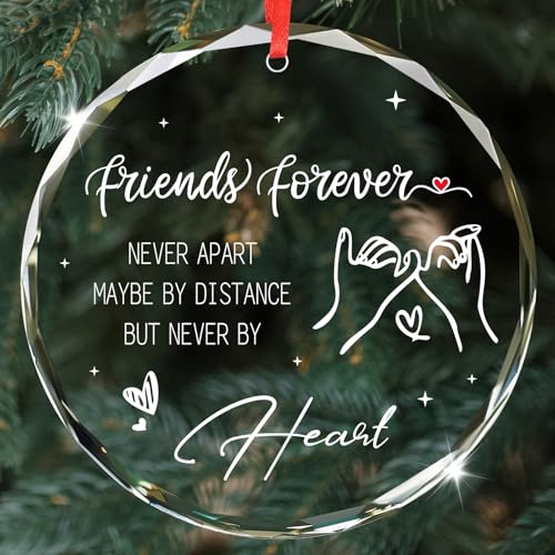 Unique Crystal Friend Christmas Ornament 2025 - 3x3 inches