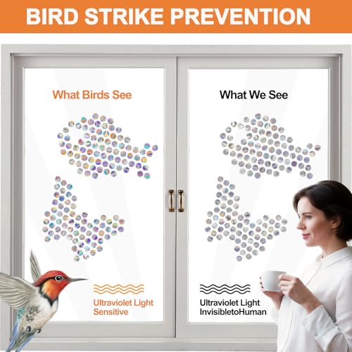 Tsocent 210 PCS Round Suncatcher Window Clings, Rainbow Prism Bird Decals