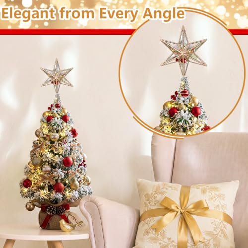 Pet 4.7 Inch Gold Mirrored Bethlehem Star Christmas Tree Topper - Holiday Decor