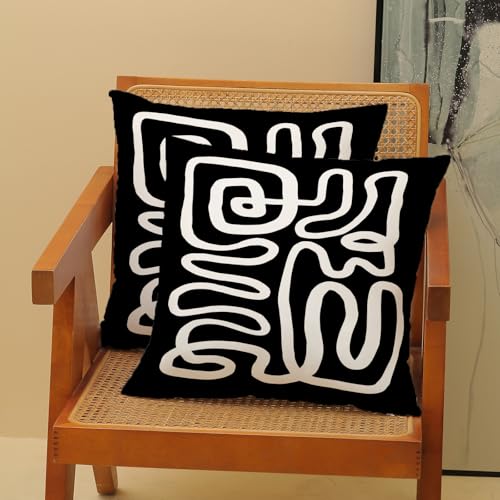 CXMEIFLY Black & White Abstract Pillow Covers, 18x18 Inch Set of 2 - Boho Geometric Decor for Couch & Bed
