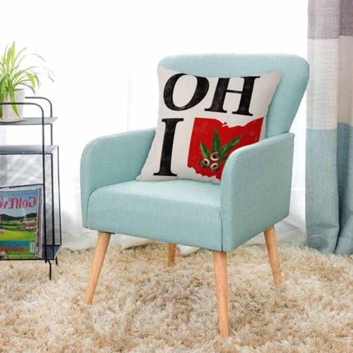 Ohio State Throw Pillow Cover 18x18 Vintage Buckeye Nut - Multi-a193