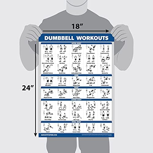 Palace Learning QuickFit Workout Chart Set - 3 Laminated Posters for Dumbbell, Bodyweight & Stretching Routines (18" x 24")