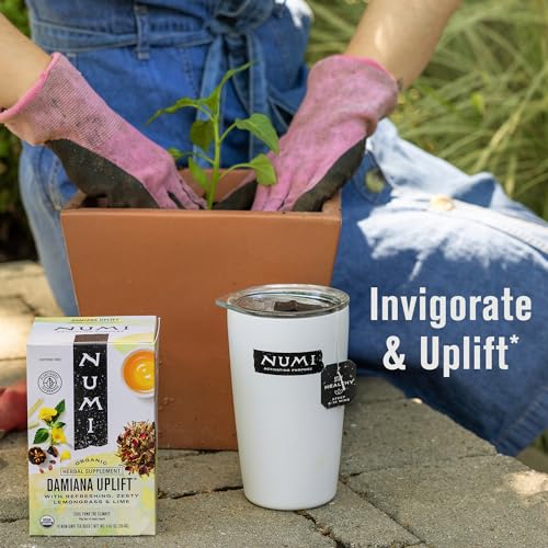 Numi Organic Damiana Uplift Herbal Tea, 48 Bags (Pack of 3)
