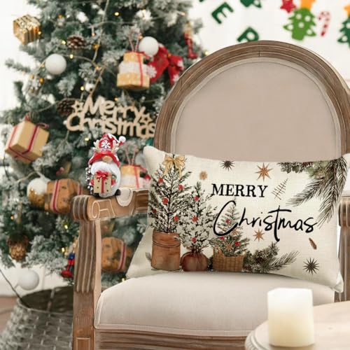 ARGOOGF Waterproof Christmas Outdoor Pillow Cover 12x20 Inches - Eucalyptus Berries Decor, Pack of 1