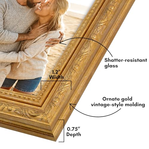 Ornate Vintage 4x6 Picture Frame - Gold Shatter-Resistant Glass