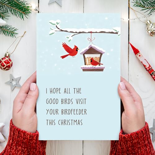 Funny Bird Feeder Christmas Card for Bird Lovers with Envelope