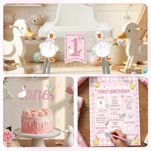 Silly Goose First Birthday Decor Set for Girls - 4 PCS