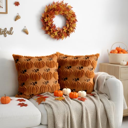 Thmyo Caramel Pumpkin Fall Pillow Covers 18x18 Inch 2-Pack Halloween Thanksgiving Decor