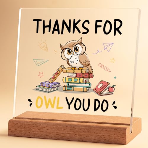 Teacher Appreciation Gift Owl Acrylic Desk Plaque - Meaningful Present