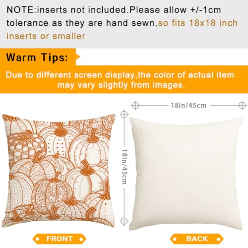 RABUSOFA Pumpkin Pillow Covers 18x18 (Set of 2) - Fall Outdoor Decor