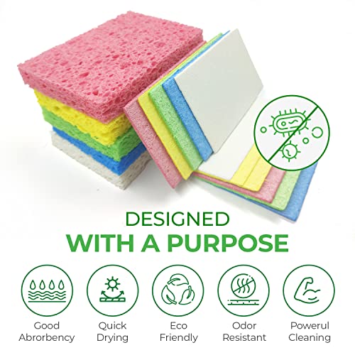 AIRNEX Compressed Cellulose Sponges - 16 Pack Natural Non-Scratch Dish Sponge