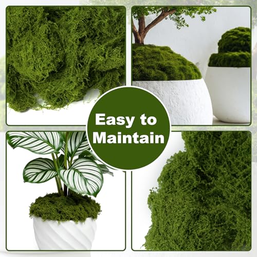 50g Fake Moss for Crafts - Realistic Decorative Moss for DIY