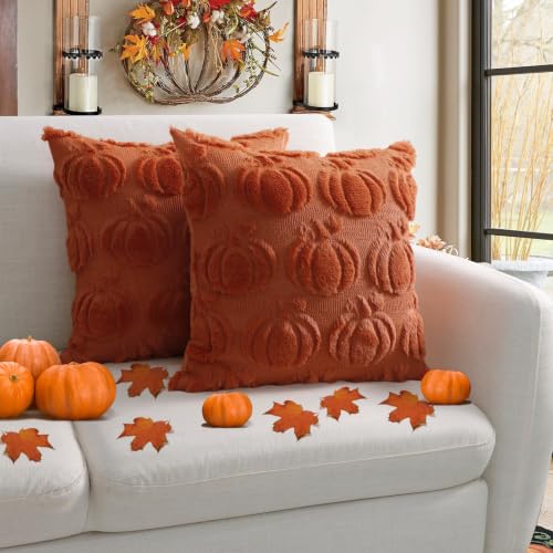 Coddsmz Fall Pumpkin Throw Pillow Covers 18x18 Inches Set of 2 Rust Caramel Plush Halloween Decor