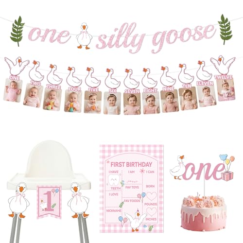 Silly Goose First Birthday Decor Set for Girls - 4 PCS
