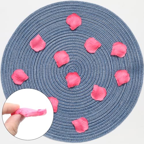 1000 Pcs Rose Red Silk Rose Petals for Weddings & Events