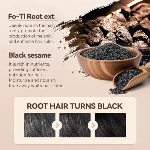 AKARY Peptide Gray Hair Cover Stick & Comb - Waterproof Root Concealer (Black)