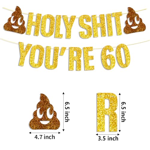 Gold Glitter 60th Birthday Banner - Cheers to 60 Years Decoration