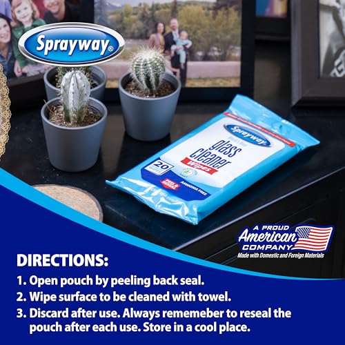 Sprayway Ammonia-Free Glass Cleaner Wipes, 20-Count Packs (12-Pack)