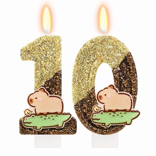 Capybara Birthday Candle Number 10 - Cute Cake Decoration