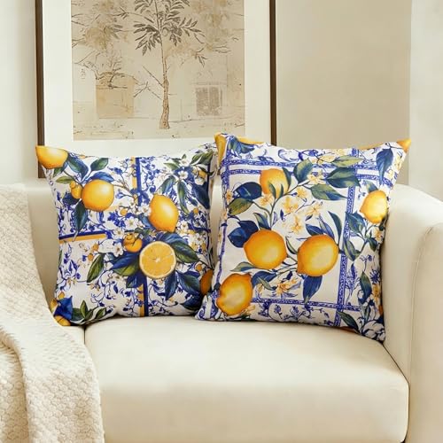 Outdoor Waterproof Pillow Covers Set of 2 18x18 Inch Boho Farmhouse Cushion Cases