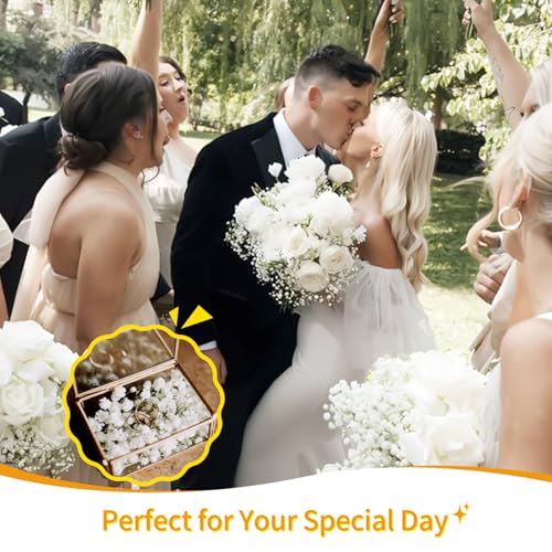 Ivory Dried Baby's Breath Flowers Bouquet Bulk 6000+ Stems for DIY Crafts & Decor