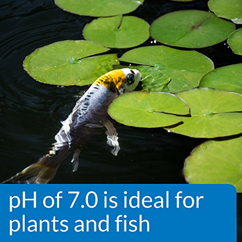 API Pond Wide Range pH Test Kit - 160-Test Liquid Water Monitoring