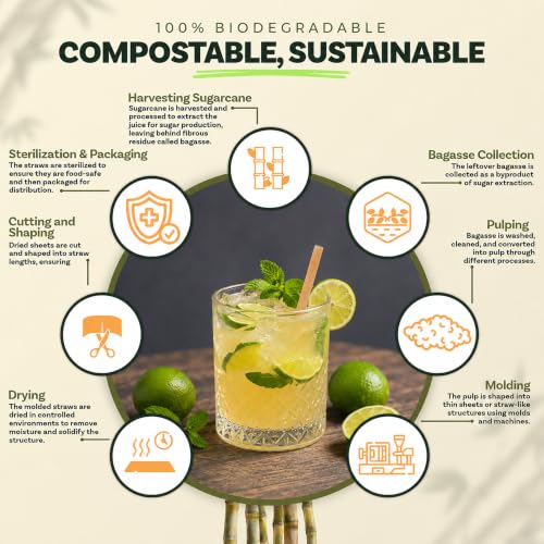 Weemium Biodegradable Sugarcane Cocktail Straws - 200 Count, 5 Inch