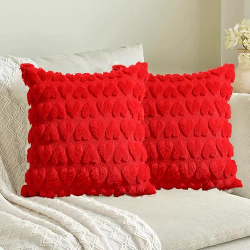 Red 3D Heart Valentine's Day Pillow Covers 18x18, Set of 2 Plush Cases