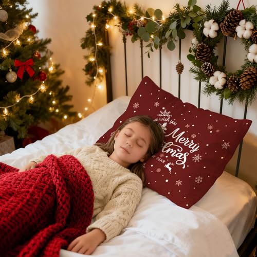 Lanpn Christmas Decorative Pillow Covers, 20x26 Standard Shams - Set of 2