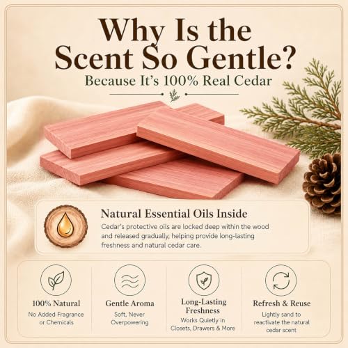 Threadle 20-Pack Natural Red Cedar Blocks for Clothes Storage
