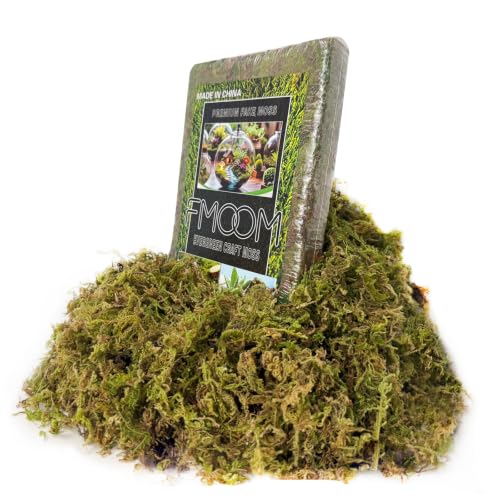 Natural Green Faux Moss - 200g Artificial Moss for DIY Decor