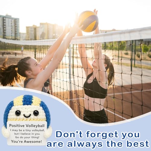 Handmade Crochet Volleyball Emotional Support Gift for Players